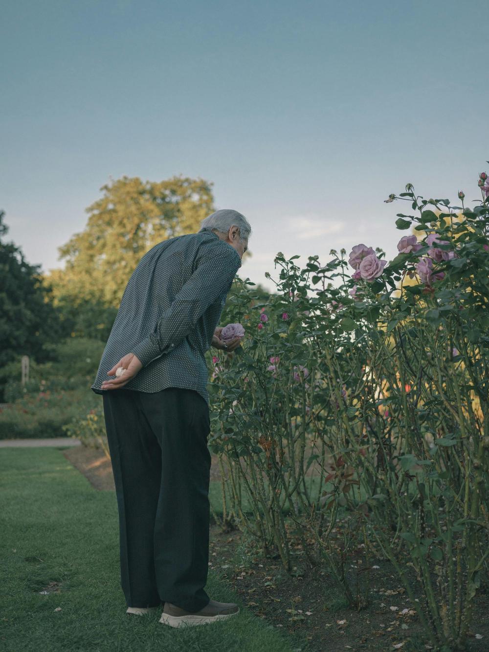 elderly-man-looking-at-flowers-in-a-garden
